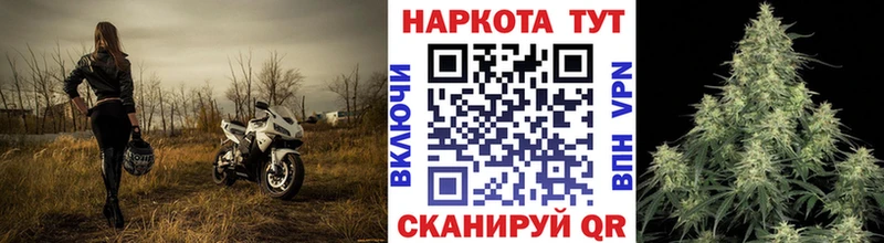 Купить наркотик аптеки Светлогорск ГАШИШ  Кокаин  А ПВП  Канабис  Мефедрон 