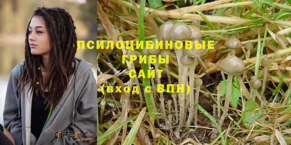 наркотики Белокуриха