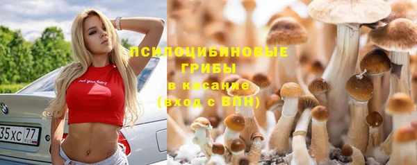 ECSTASY Беломорск