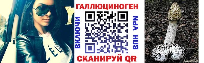 Галлюциногенные грибы мухоморы  даркнет наркотические препараты  Светлогорск 
