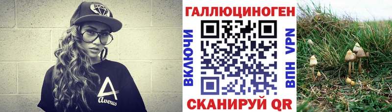 Псилоцибиновые грибы Psilocybine cubensis Светлогорск